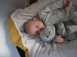 louis
